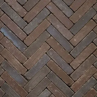 Gebakken waaltjes